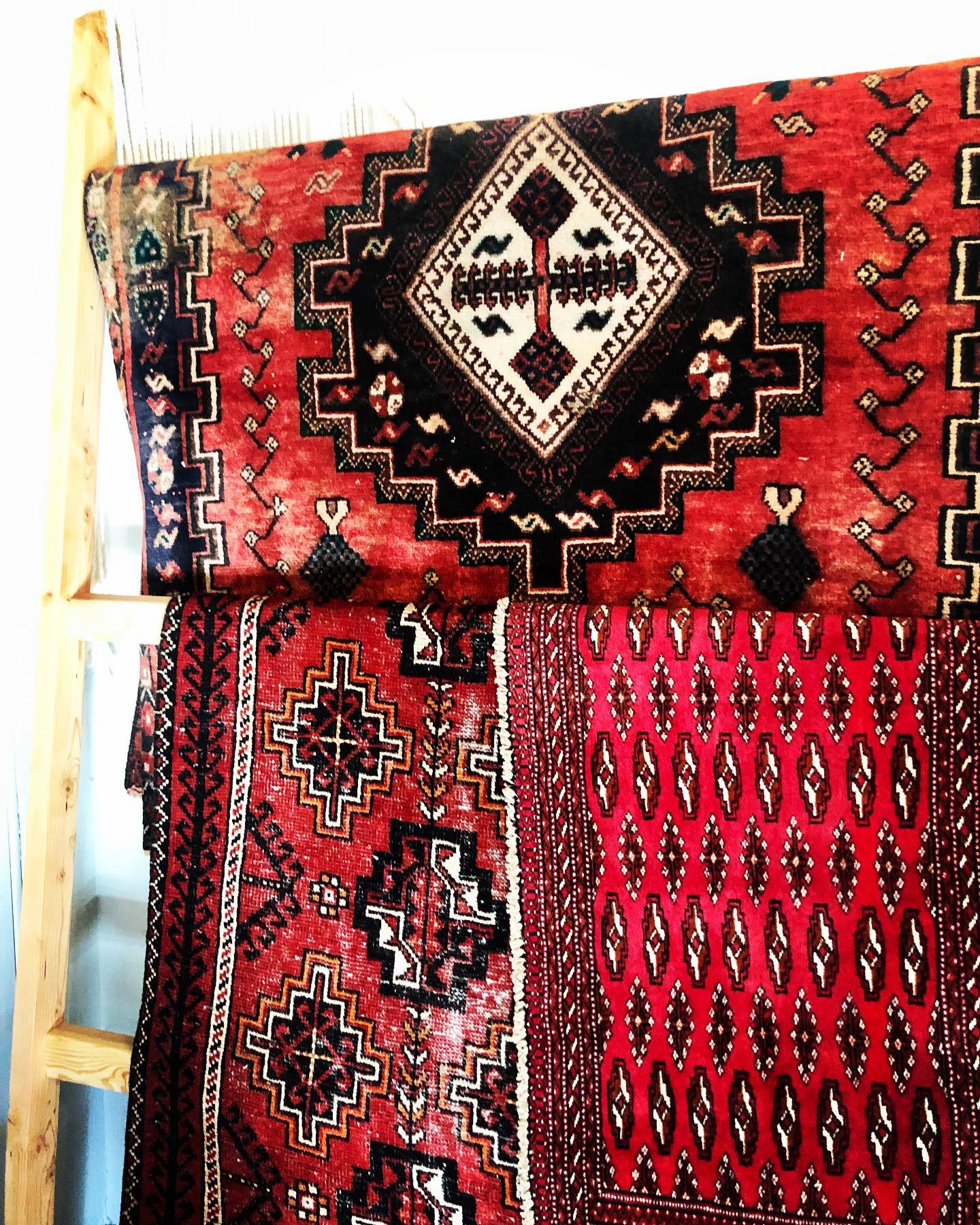 rugs kept outside to dry