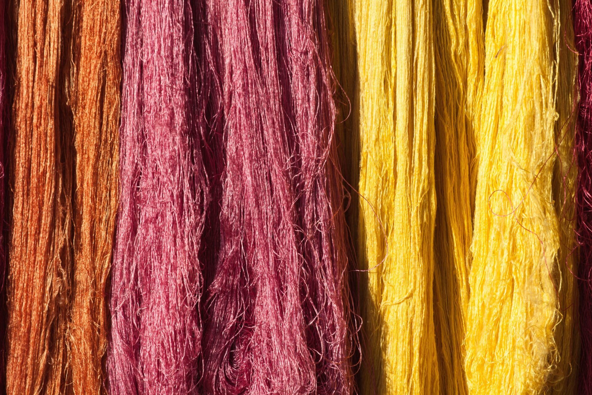 wool-dying
